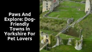 Paws and Explore: Dog-Friendly Towns in Yorkshire for Pet Lovers